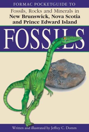 Formac Pocketguide to Fossils