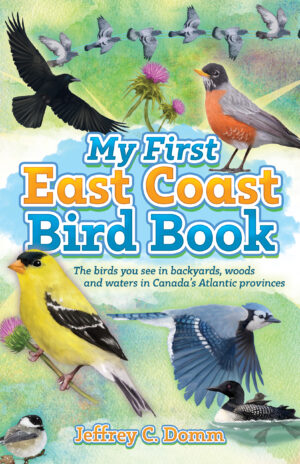 My First East Coast Bird Book
