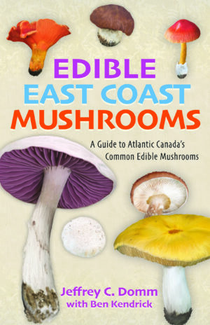 Edible East Coast Mushrooms