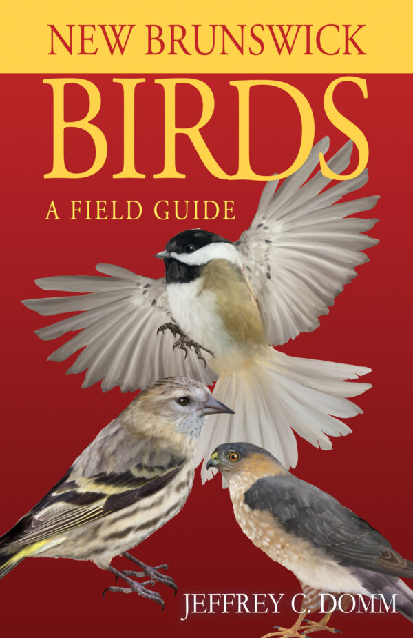 New Brunswick Birds
