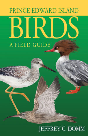 Prince Edward Island Birds