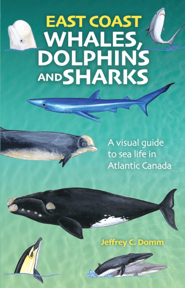 East Coast Whales, Dolphins and Sharks - New Edition