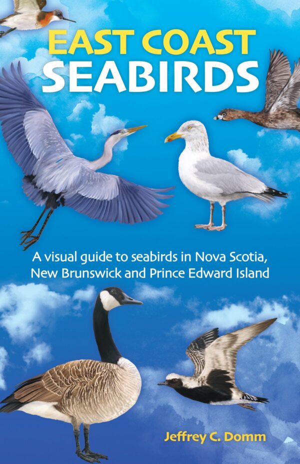 East Coast Seabirds - New Edition