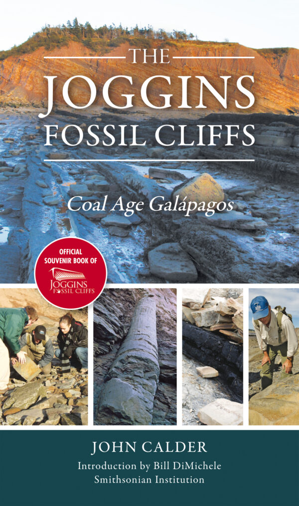 The Joggins Fossil Cliffs