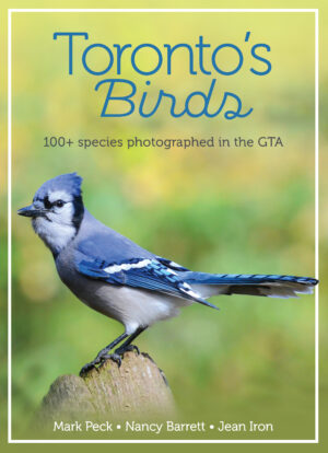 Toronto's Birds