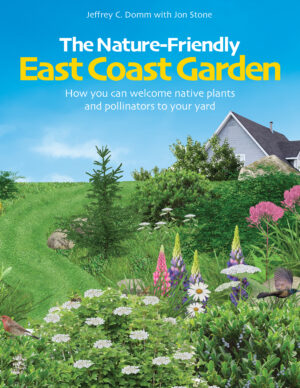 The Nature-Friendly East Coast Garden