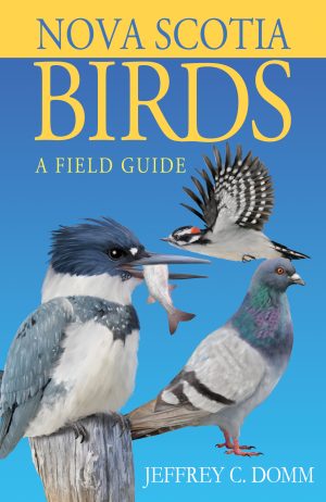 Nova Scotia Birds