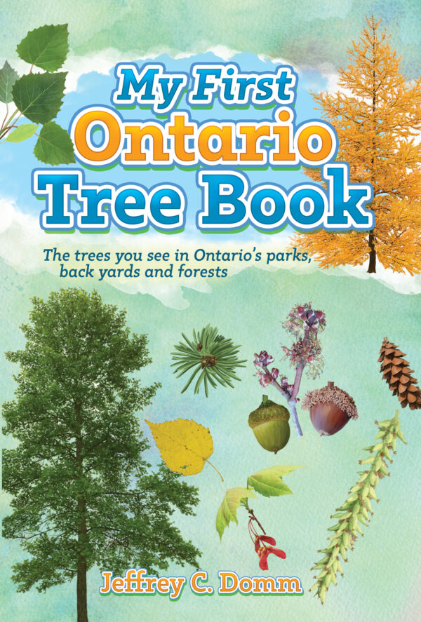 9781459508125.jpg My First Ontario Tree Book