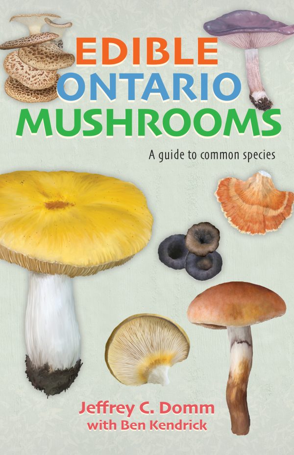 Edible Ontario Mushrooms
