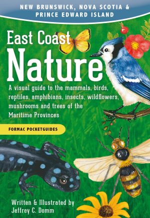 East Coast Nature