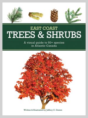 East Coast Trees and Shrubs