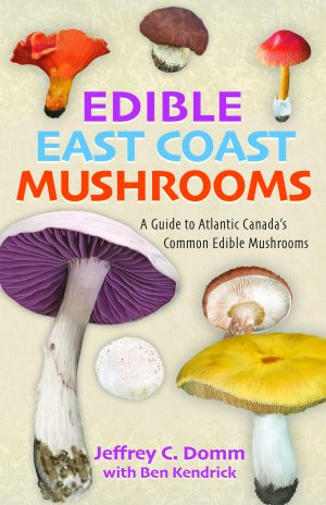Edible East Coast Mushrooms