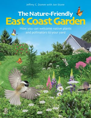 The Nature-Friendly East Coast Garden