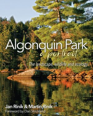 Algonquin Park: A Portrait