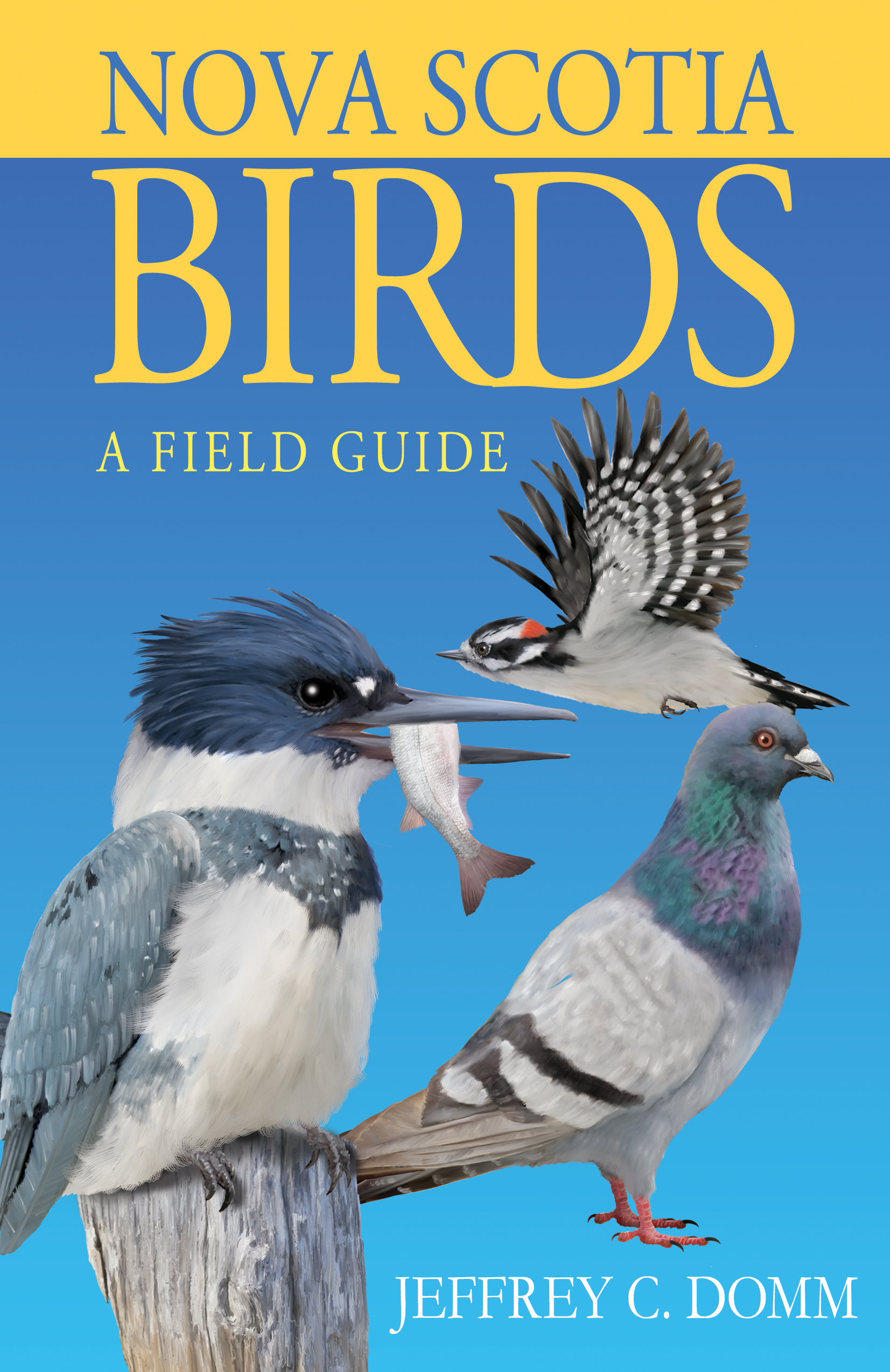 Nova Scotia Birds