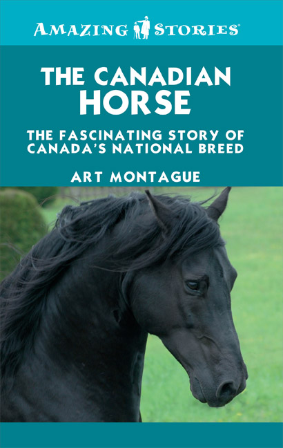 The Canadian Horse