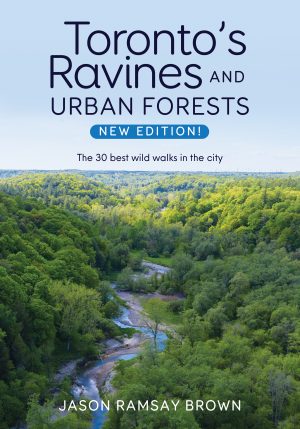 Toronto's Ravines and Urban Forests