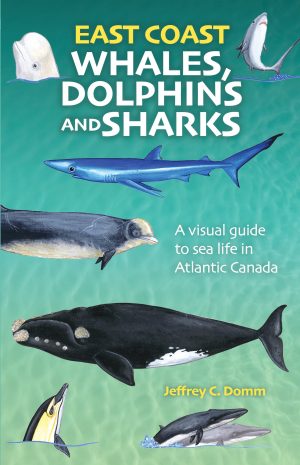 East Coast Whales, Dolphins and Sharks - New Edition