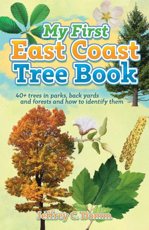 My First East Coast Tree Book