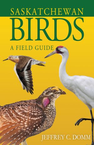 Saskatchewan Birds