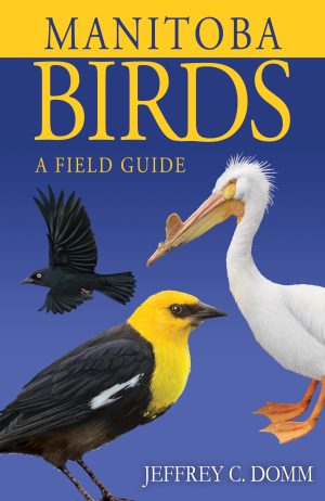 Manitoba Birds