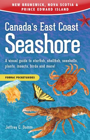 Canada's East Coast Seashore