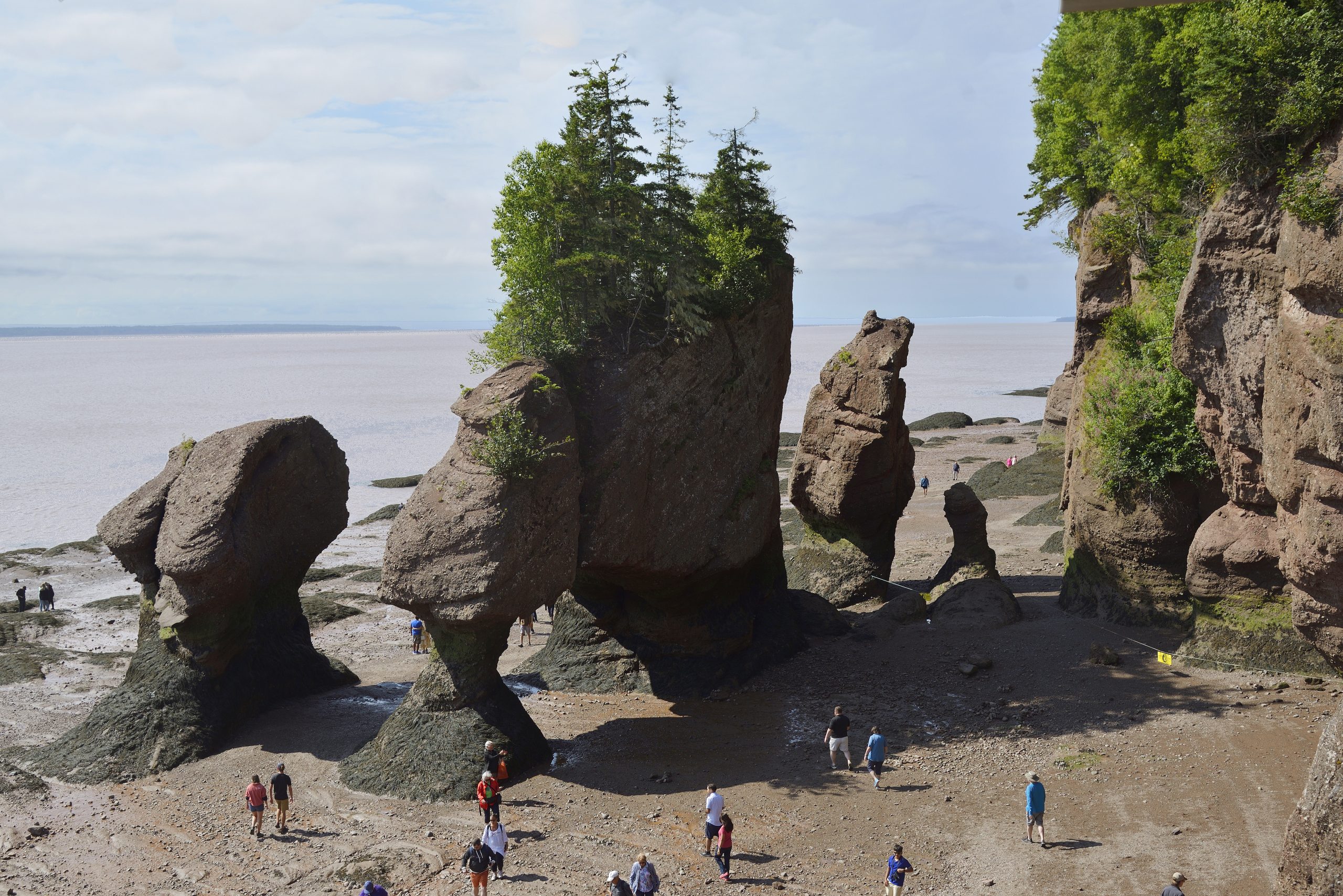 Touring Hopewell Rocks — and beyond