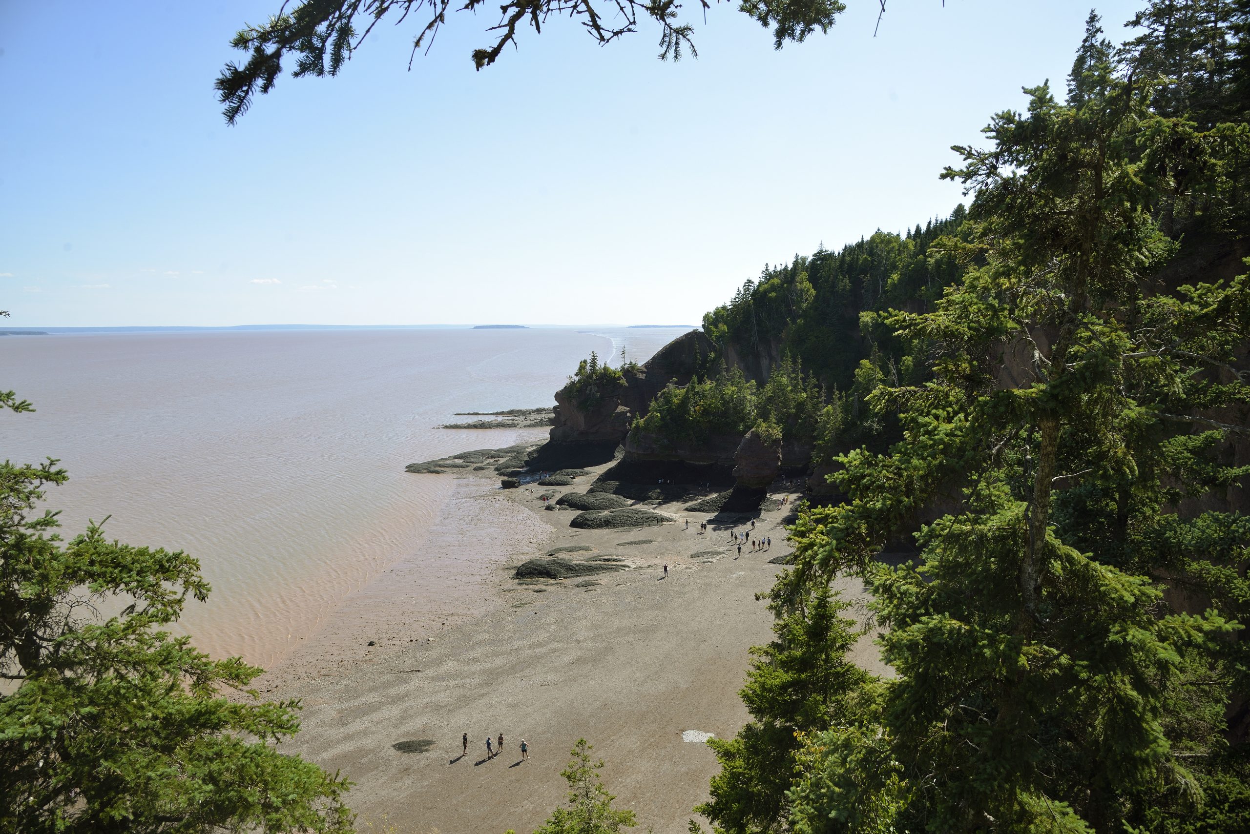 Touring Hopewell Rocks — and beyond