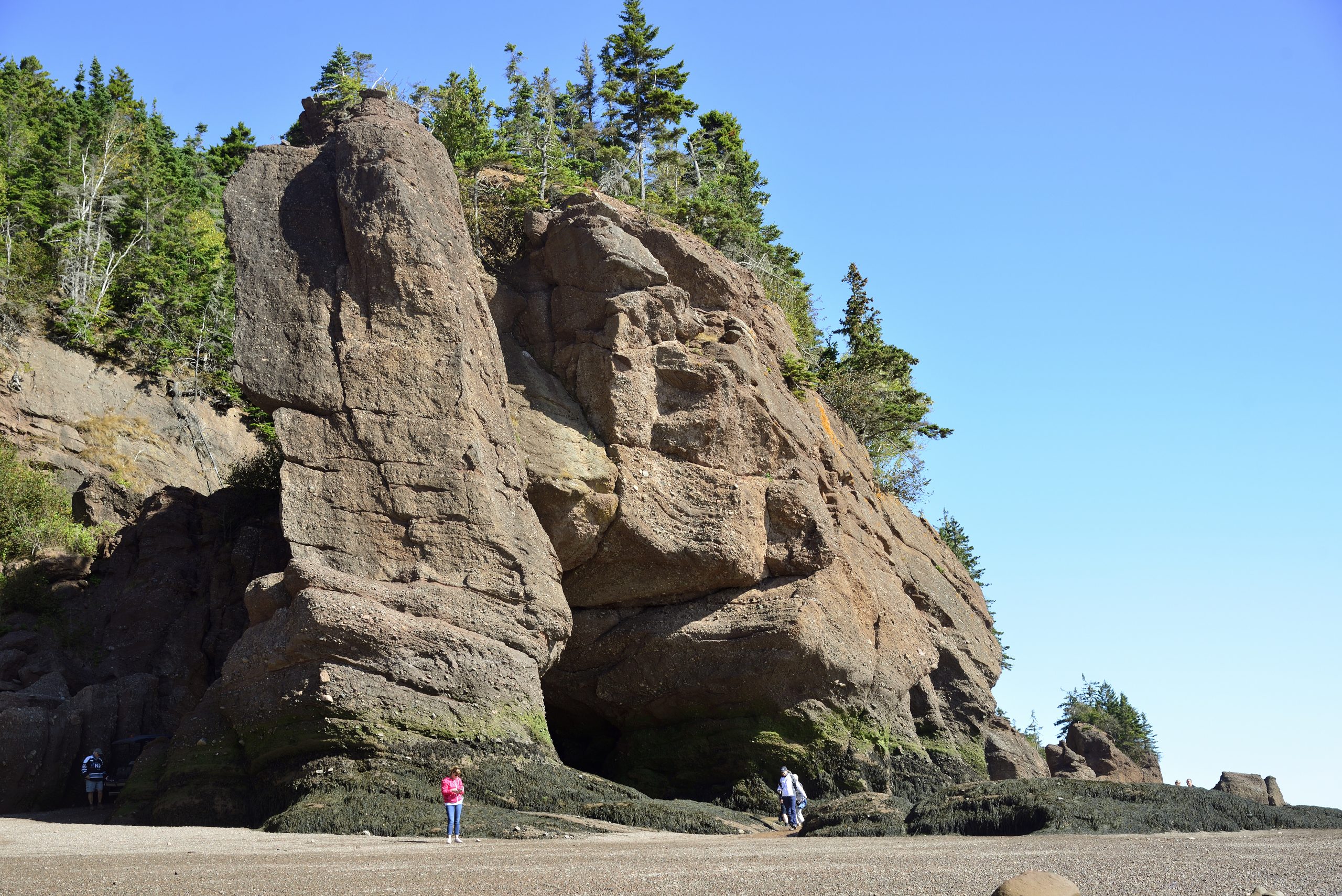Touring Hopewell Rocks — and beyond