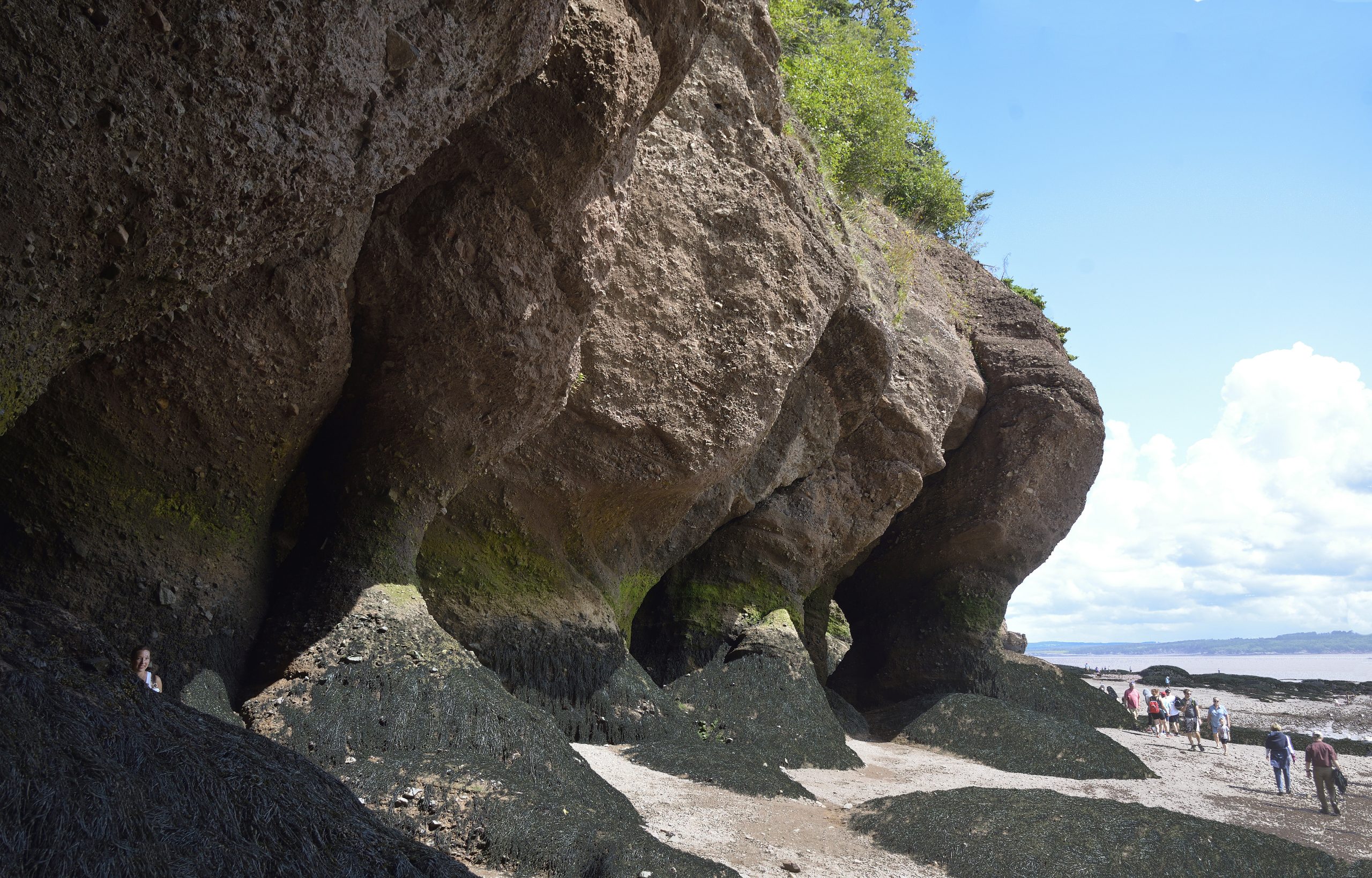 Touring Hopewell Rocks — and beyond