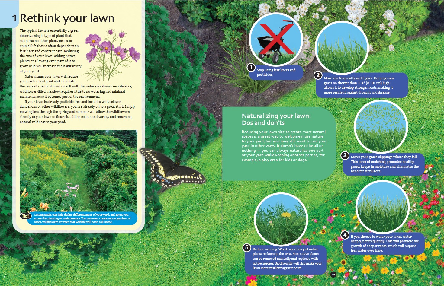 The Nature-Friendly Ontario Garden