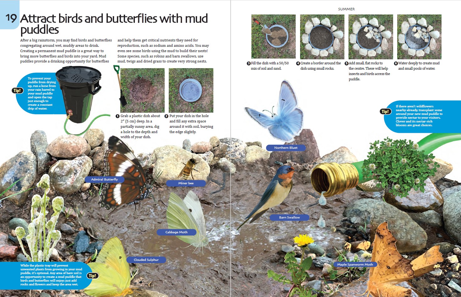 The Nature-Friendly Ontario Garden