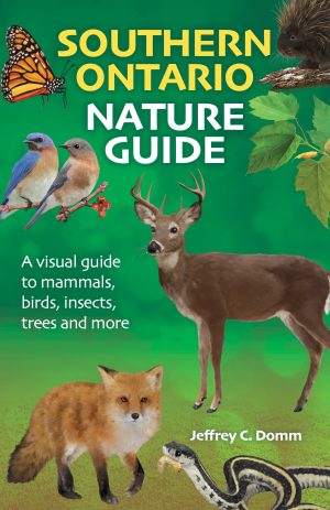 Southern Ontario Nature Guide