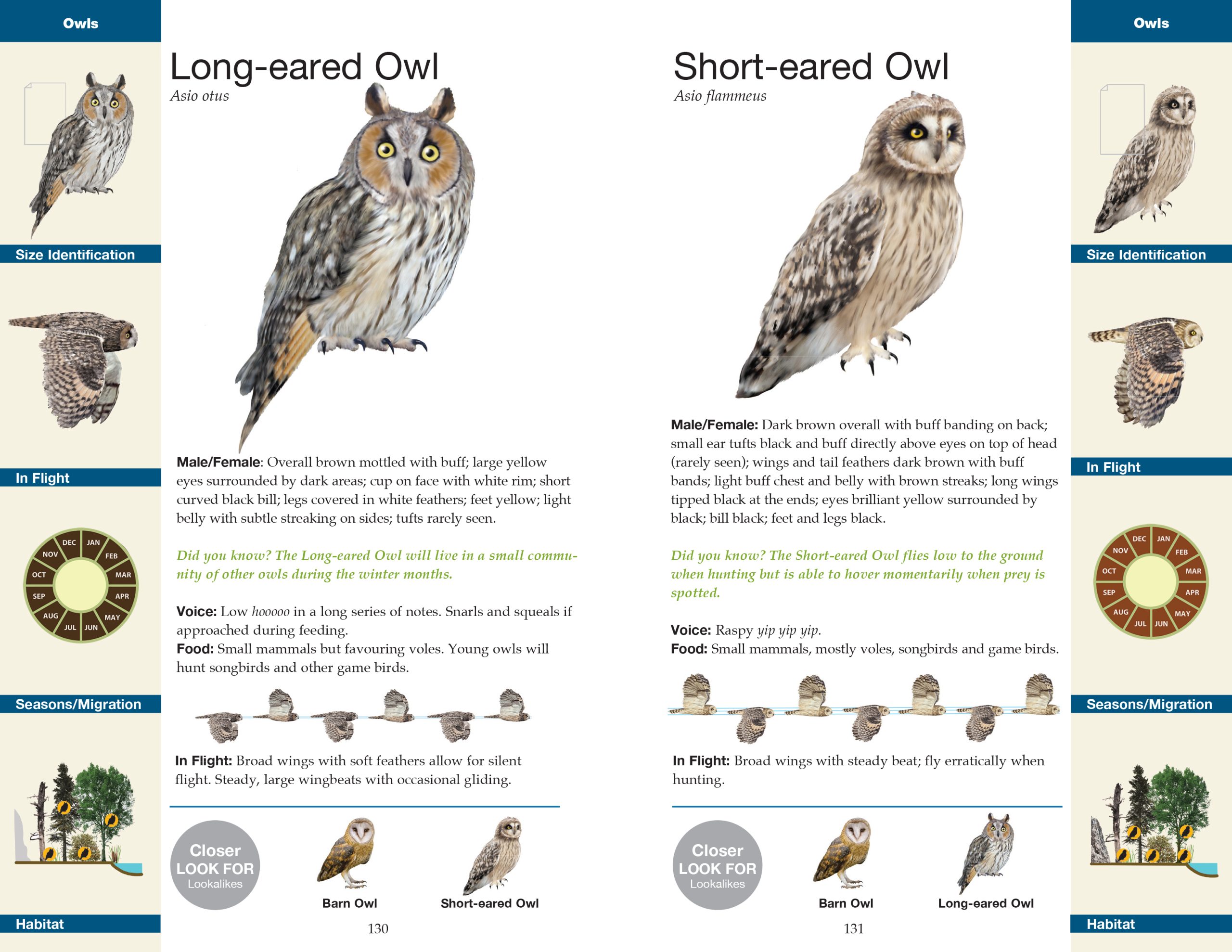 Manitoba Birds